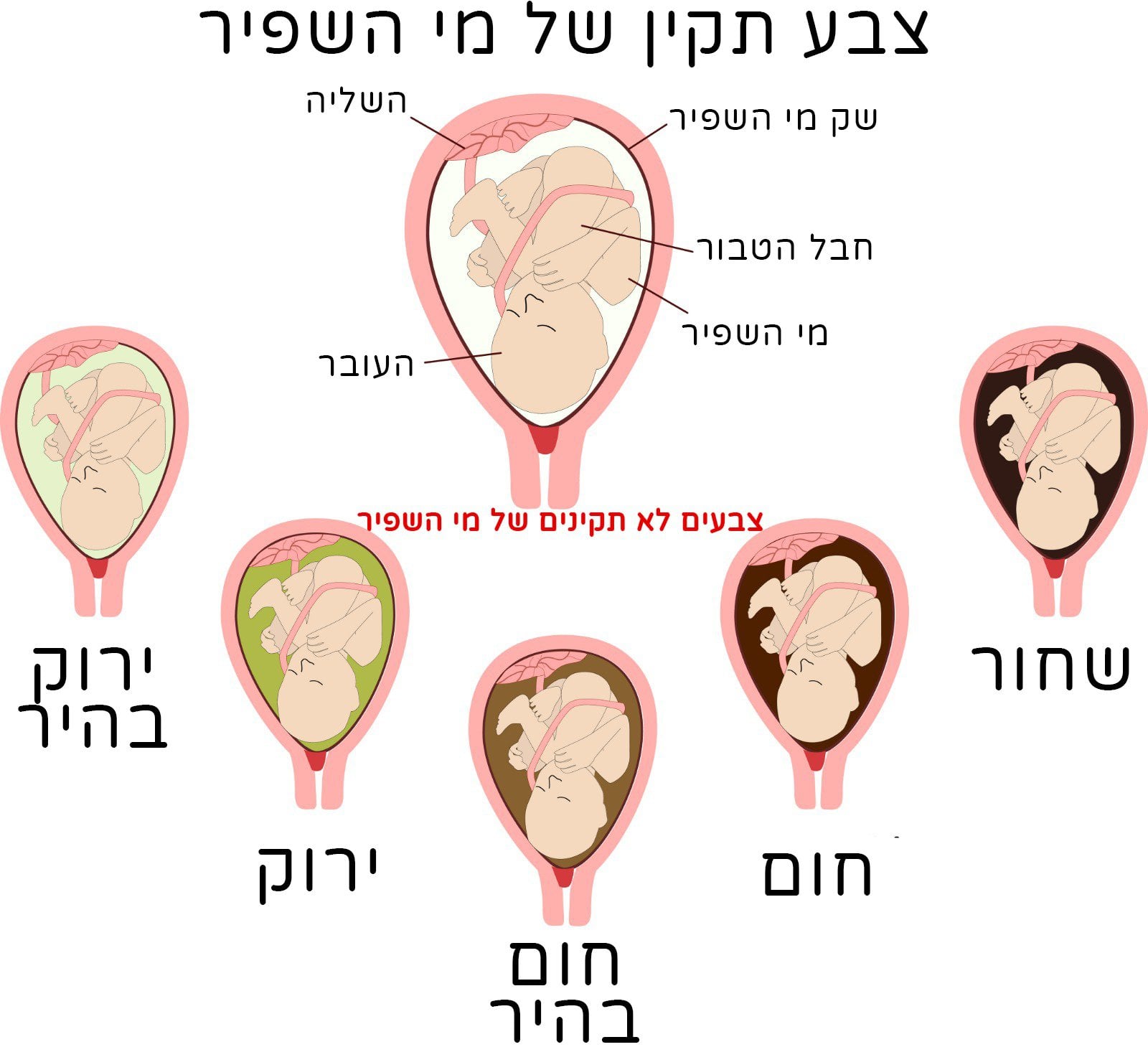 צבע מי השפיר