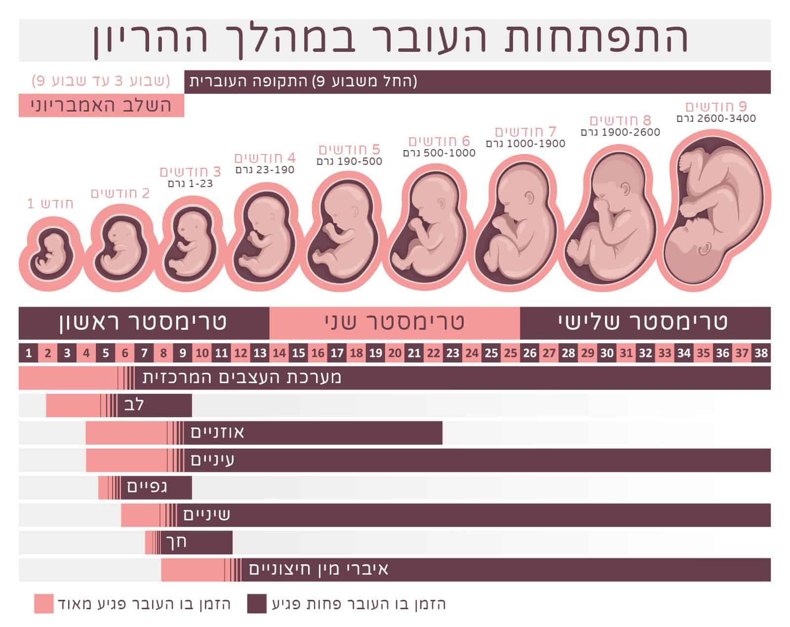 נזקים כתוצאה ממשקל לידה נמוך - באילו מקרים מדובר ברשלנות רפואית?