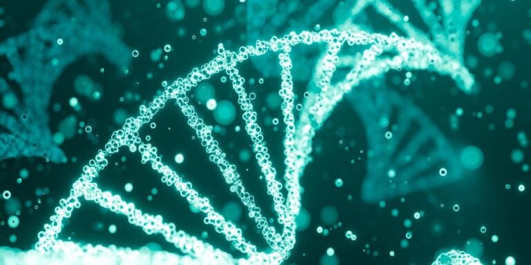 בדיקת צ'יפ גנטי